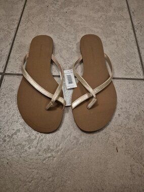 Banana Republic Flat Gold Sandals